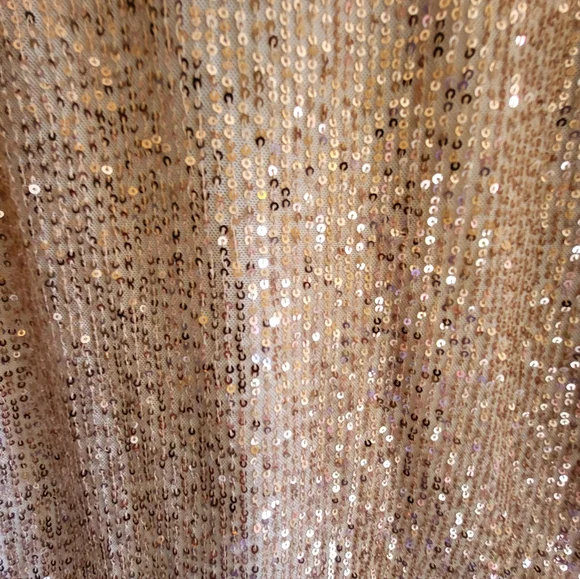 CLEARANCE LOFT Sequin Sleeveless Top - Rose Gold - Picture 13 of 13